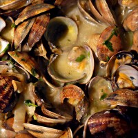 clam bakes clam bakes